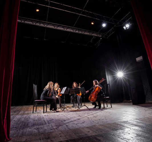The String Quartet